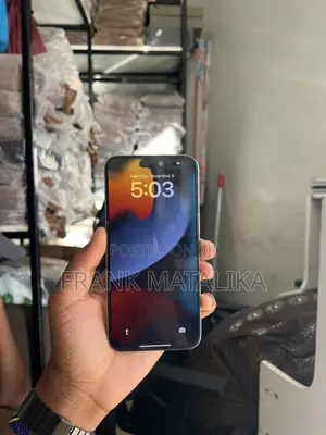 Apple iPhone 15 Pro Max 256 GB Silver