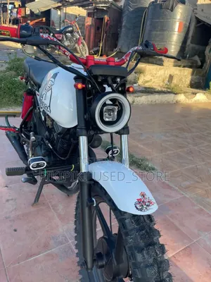 Autodex 2025 White