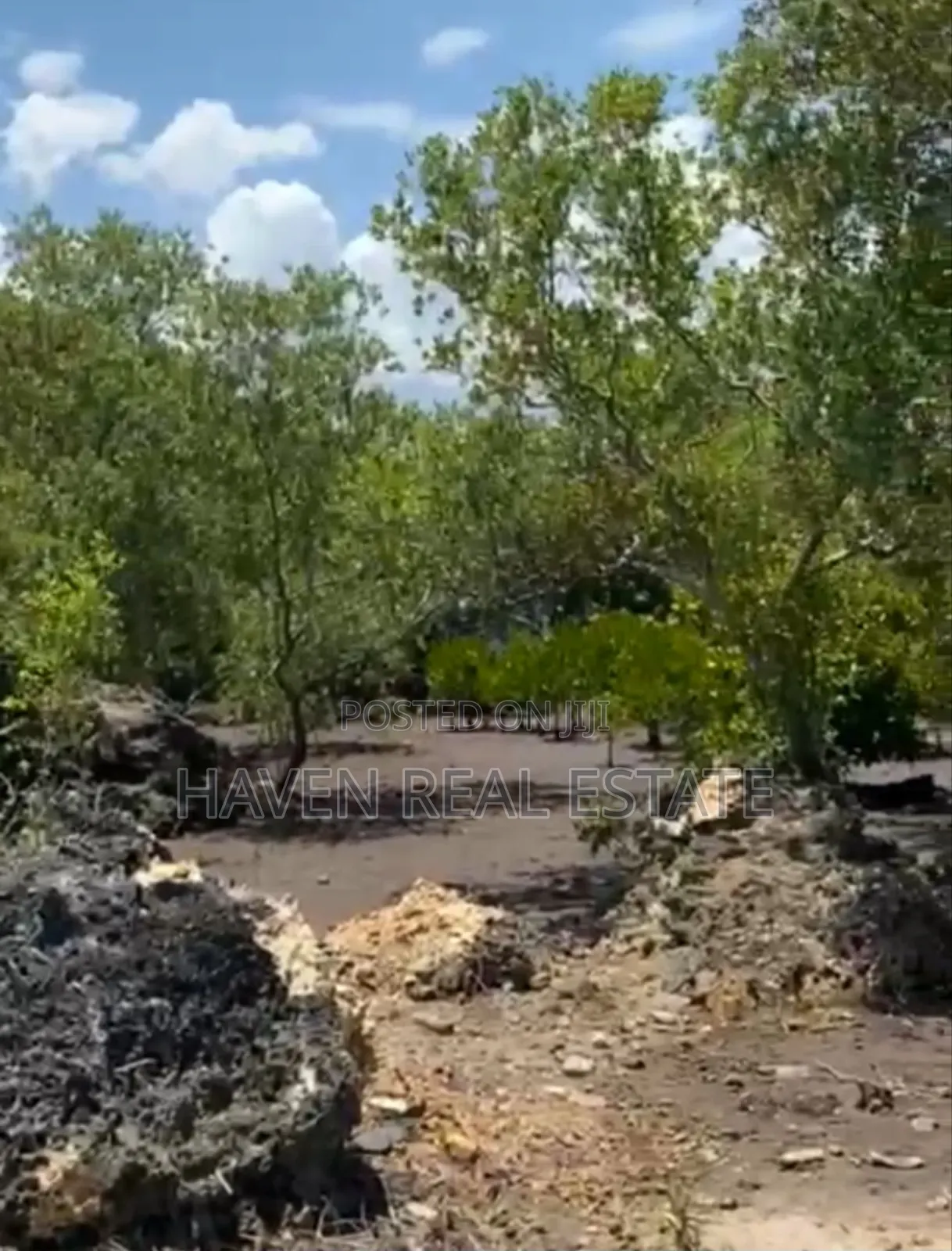 Mangrove Beach Plot for Sale at Zanzibar