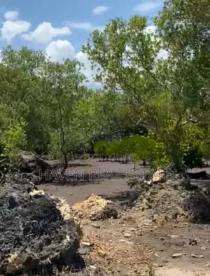 Mangrove Beach Plot for Sale at Zanzibar