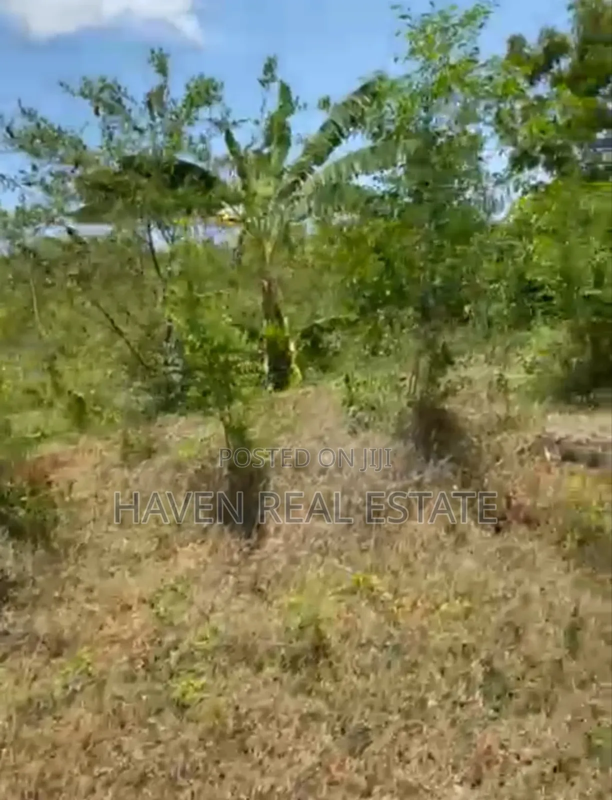 Mangrove Beach Plot for Sale at Zanzibar