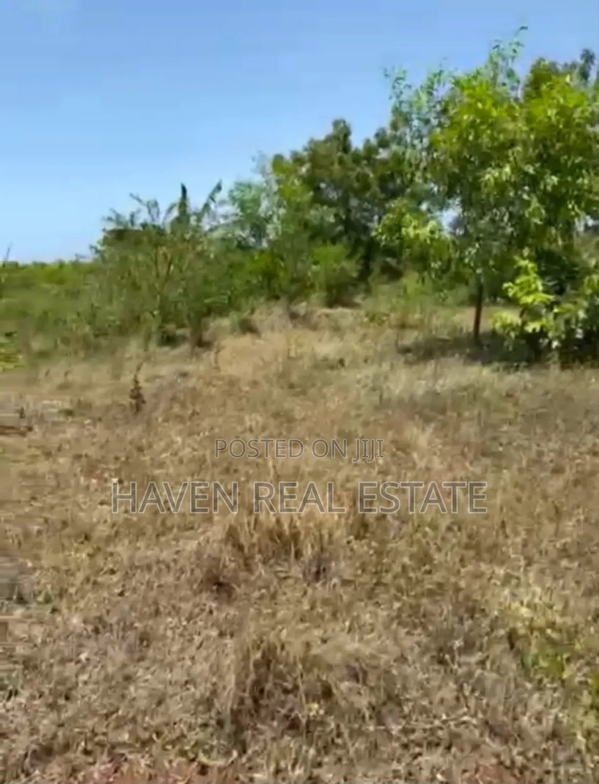 Mangrove Beach Plot for Sale at Zanzibar