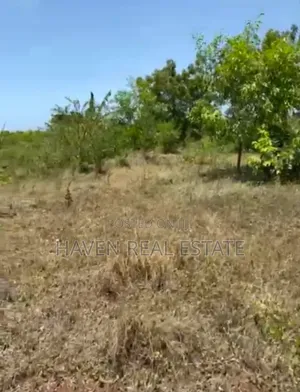 Mangrove Beach Plot for Sale at Zanzibar