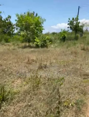 Mangrove Beach Plot for Sale at Zanzibar