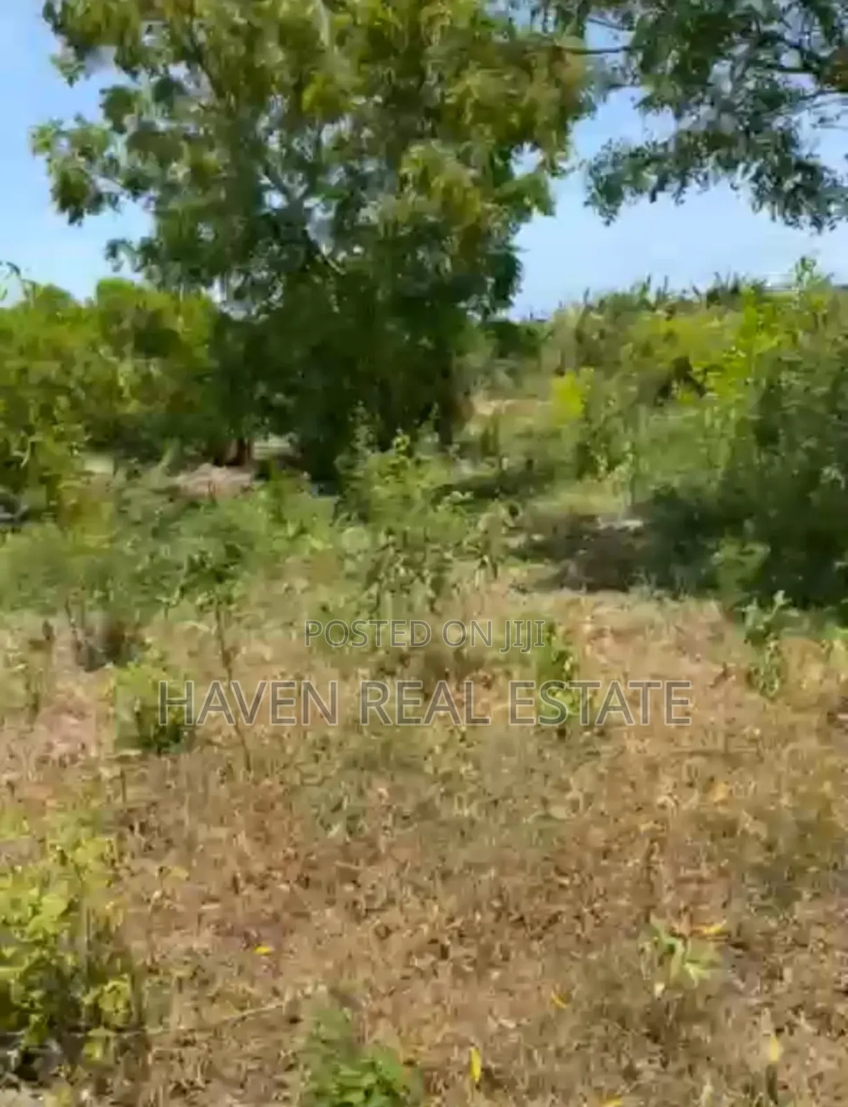 Mangrove Beach Plot for Sale at Zanzibar