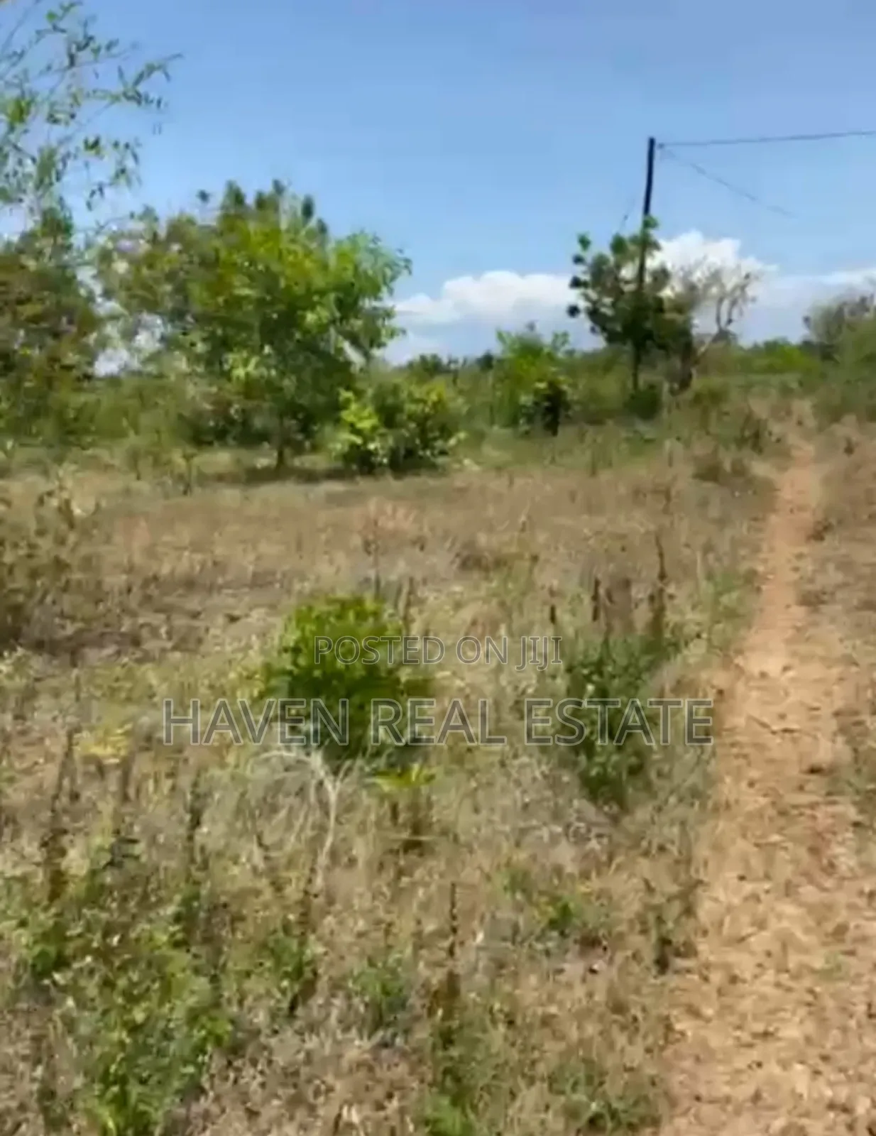 Mangrove Beach Plot for Sale at Zanzibar