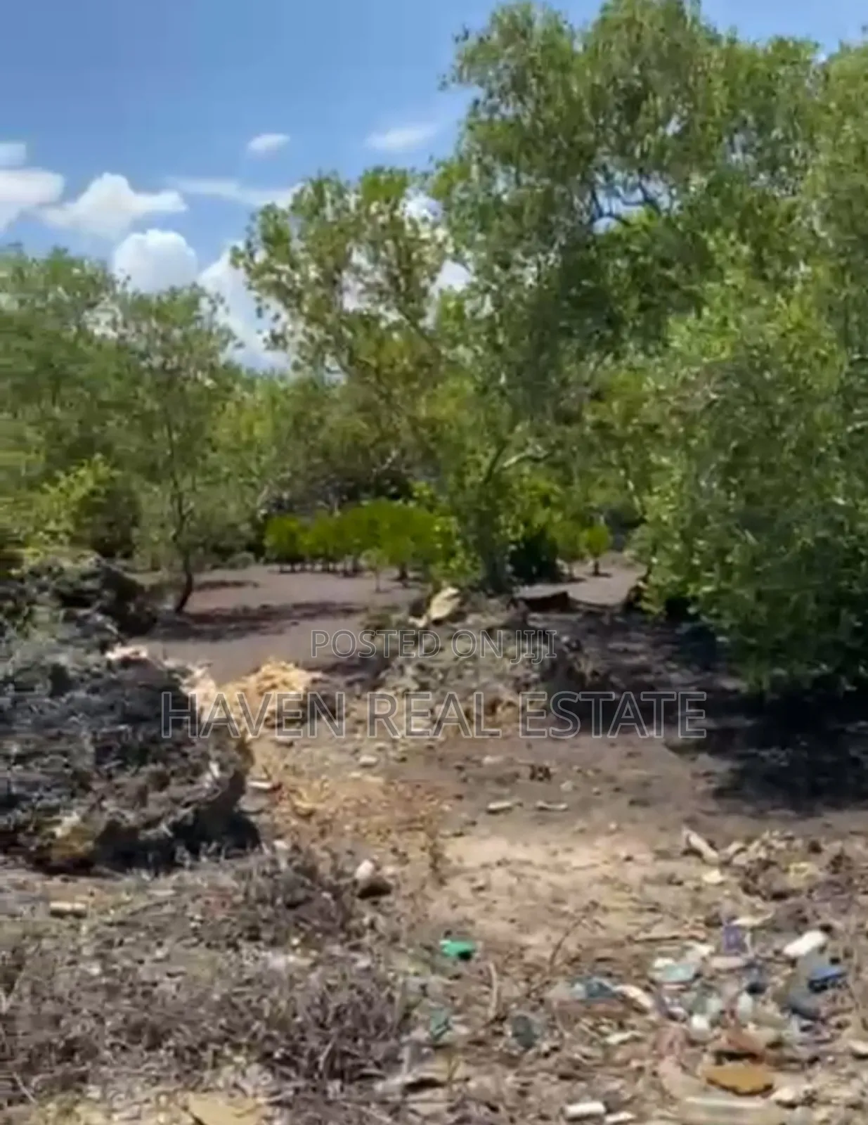 Mangrove Beach Plot for Sale at Zanzibar