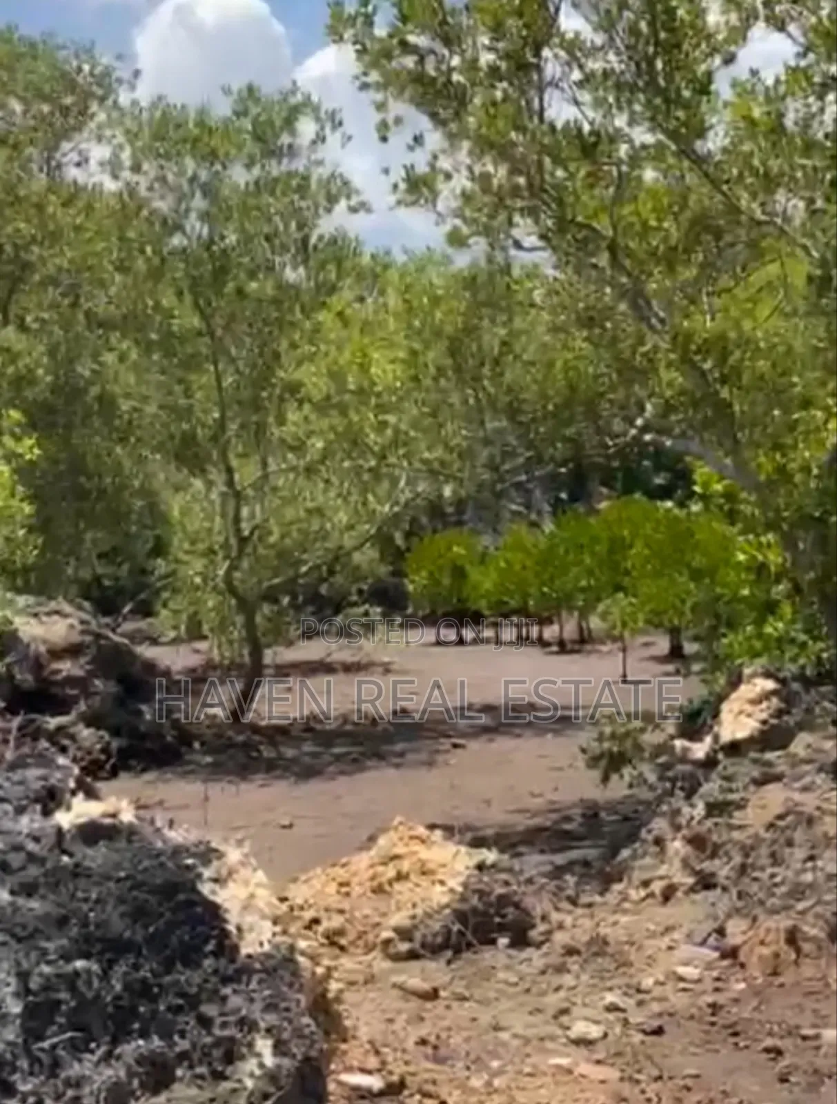 Mangrove Beach Plot for Sale at Zanzibar