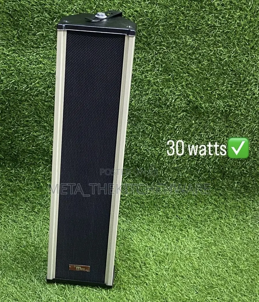 Max Powerful Column Speaker 30w MSC 30t