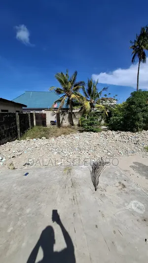 Plot Rent at Sinza Palestina