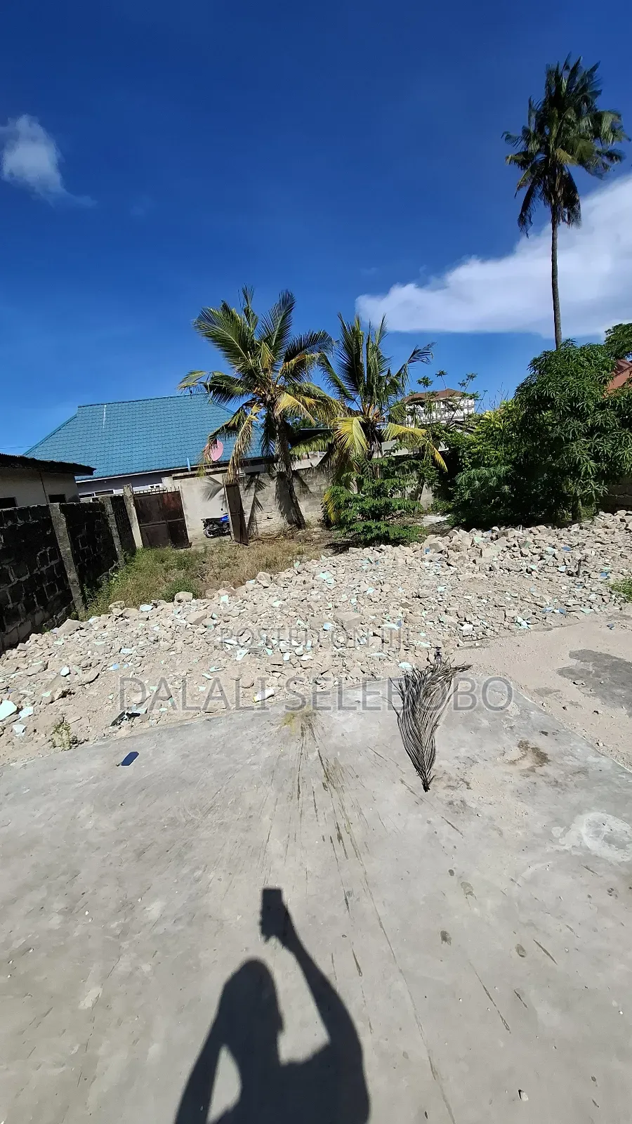 Plot Rent at Sinza Palestina