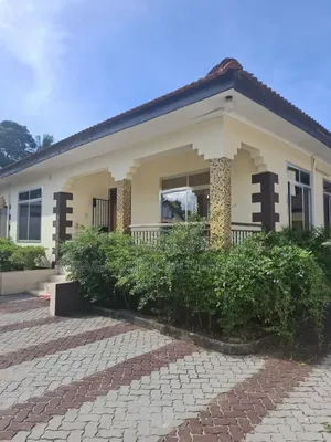 3bdrm House in Mikocheni for rent