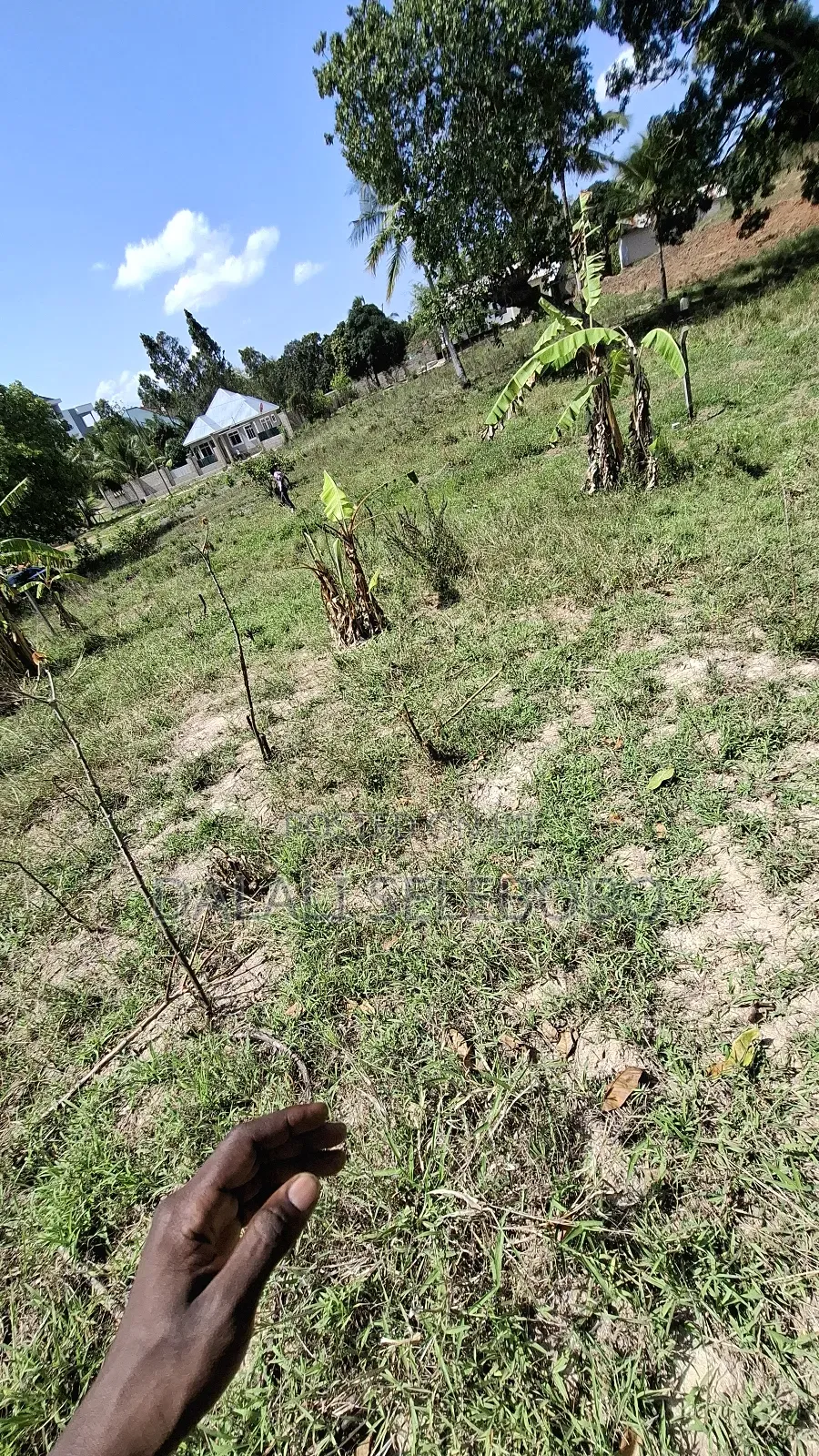 Plot at Kibamba Msingi Upo Pia