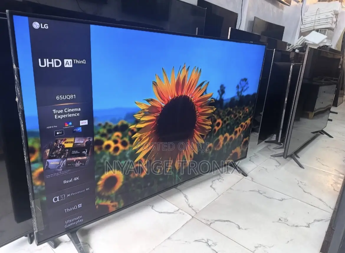 Lg 55 Smart Tv
