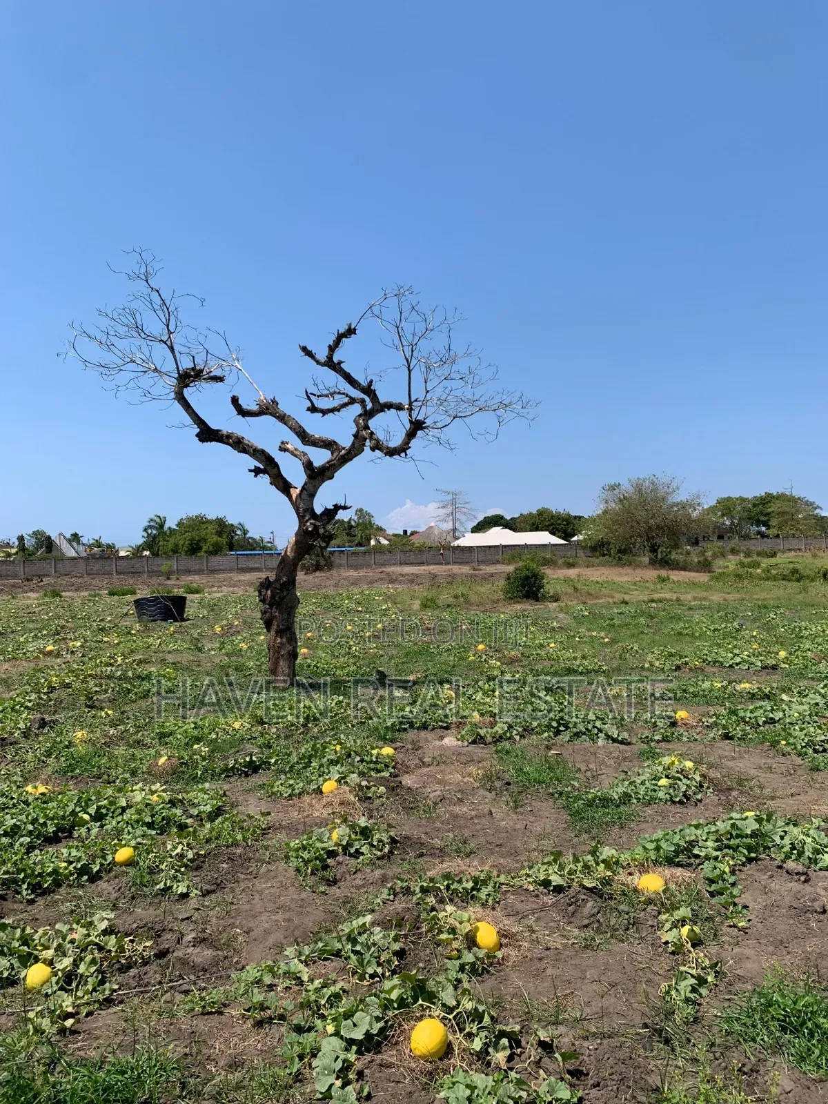 5acres Plot for Sale at Mbweni Malindi
