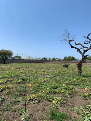 5acres Plot for Sale at Mbweni Malindi