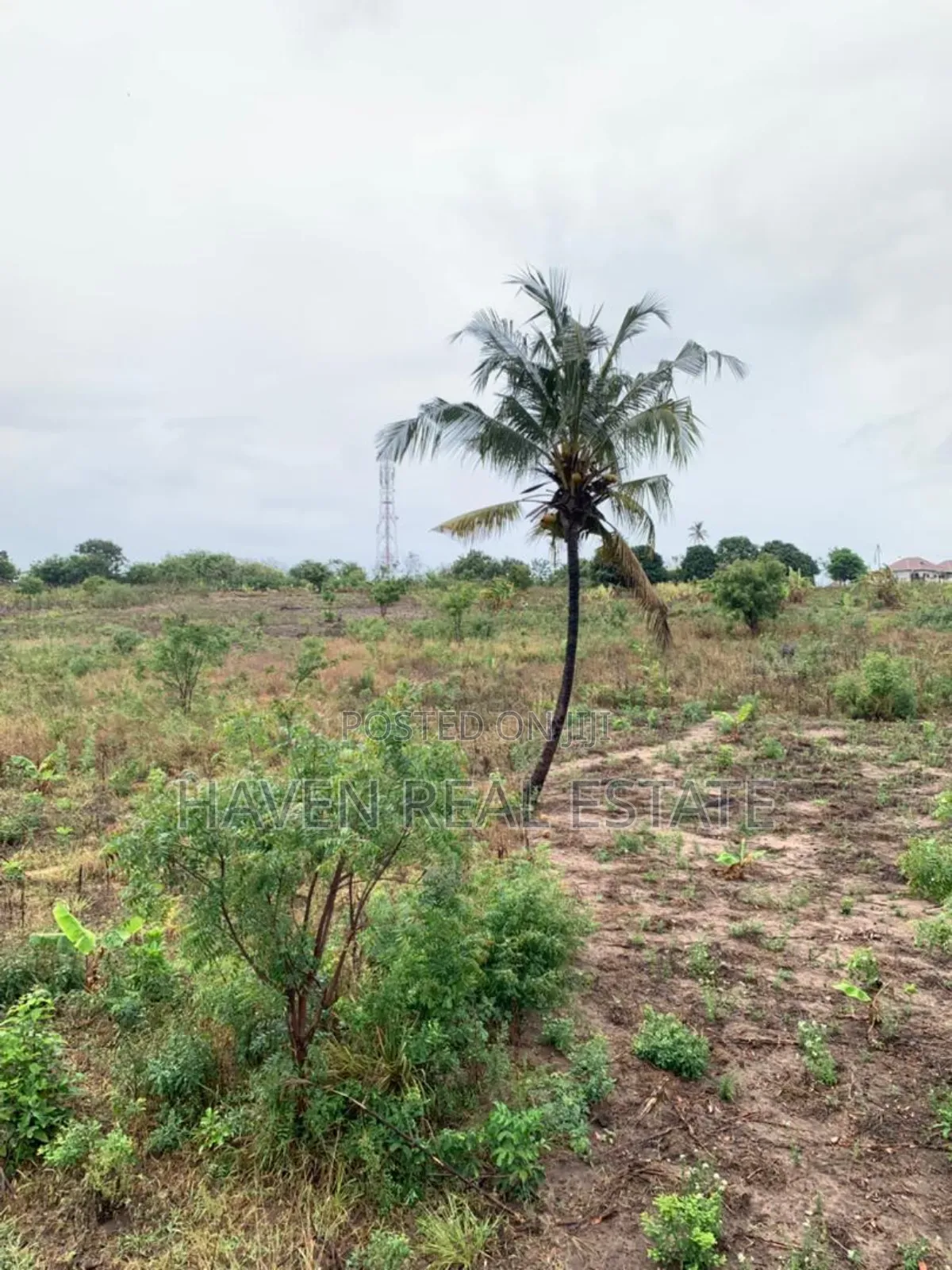 5acres Plot for Sale at Bunju B