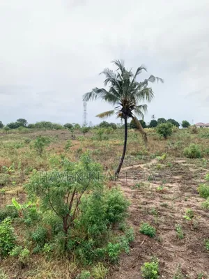 5acres Plot for Sale at Bunju B