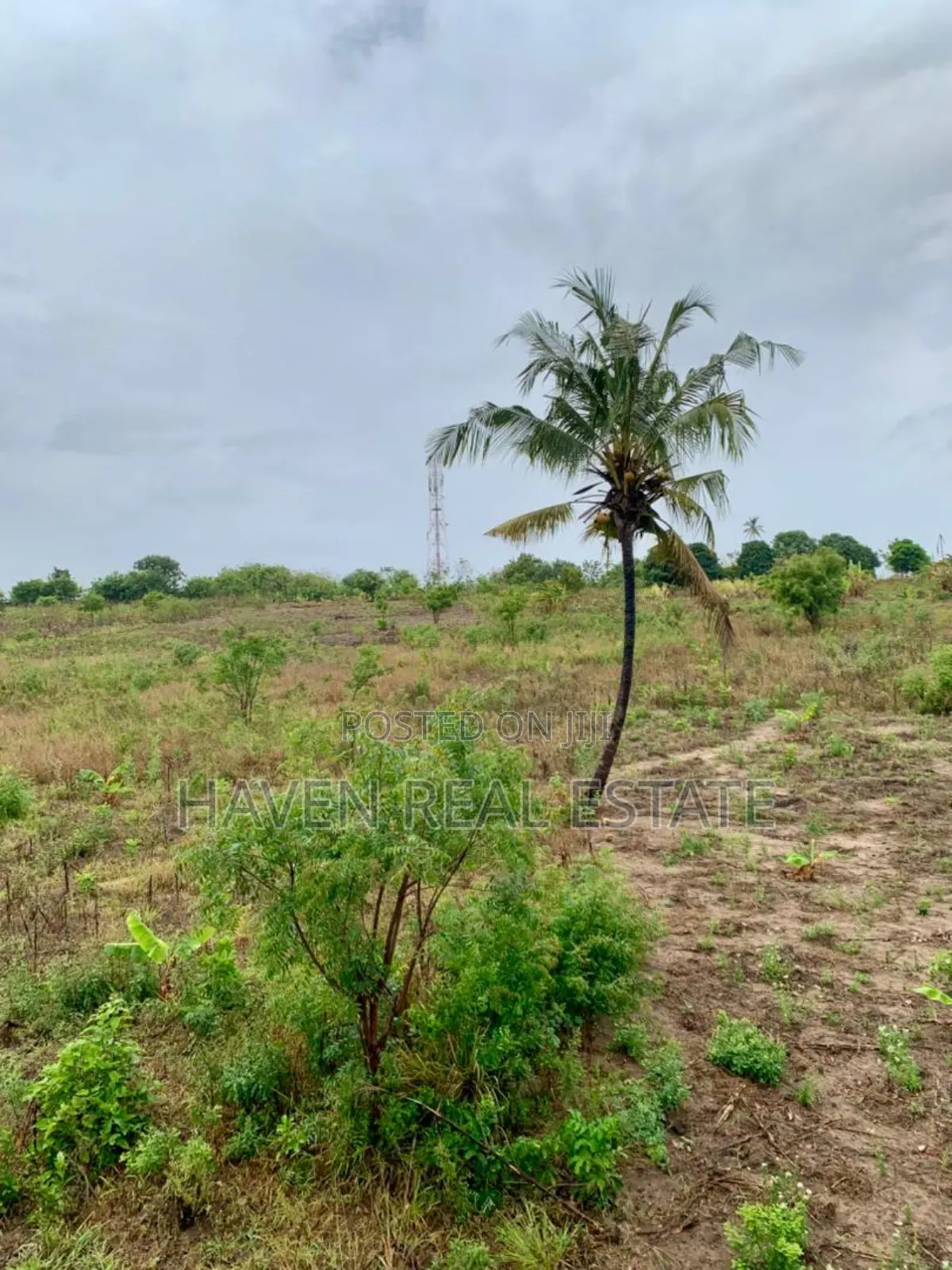 5acres Plot for Sale at Bunju B