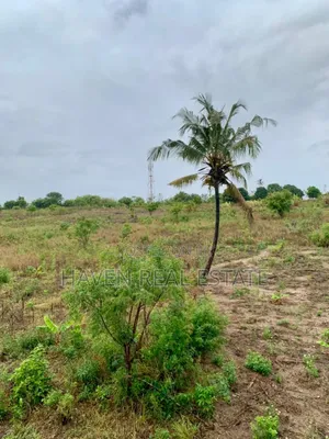 5acres Plot for Sale at Bunju B