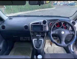 Toyota Voltz 2004 Gray