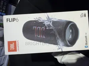 JBL Flip 6