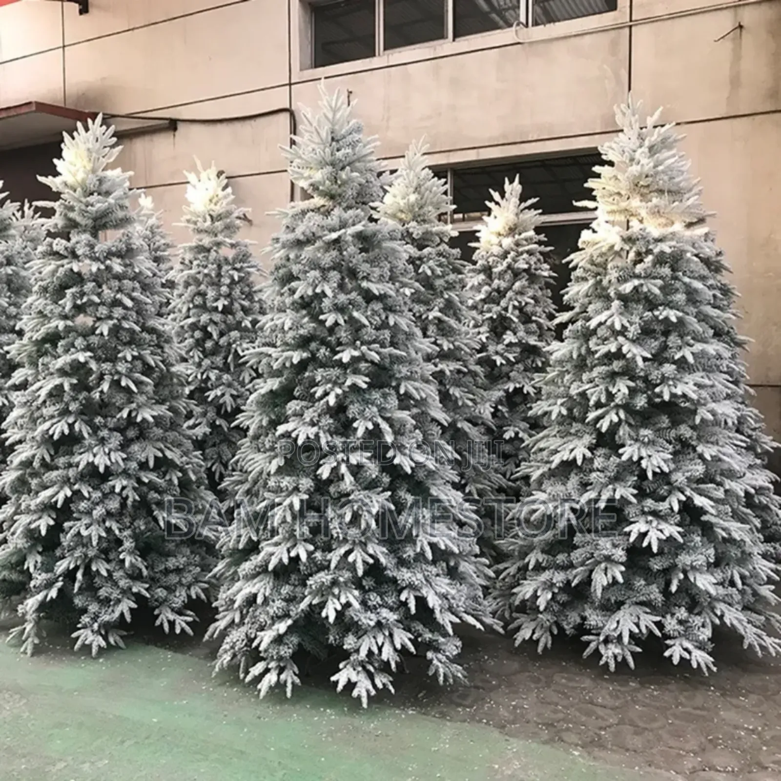 The Flocked Christmas Tree 1st Class (210cm)