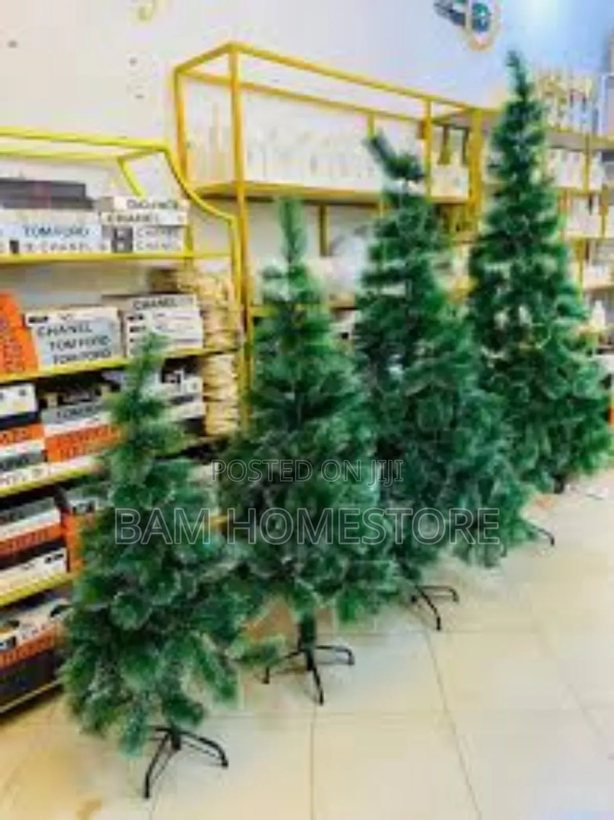 The 'classic Evergreen' Christmas Tree