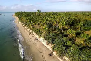 12 Acres Beachfront Lodge for Sale at Mkwaja-Pangani, Tanga