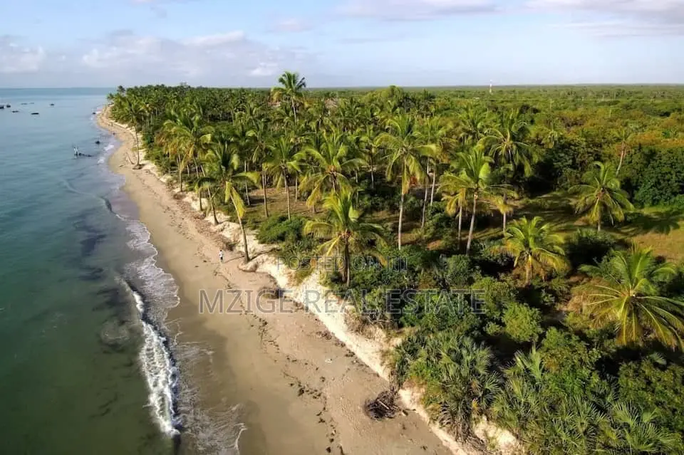 12 Acres Beachfront Lodge for Sale at Mkwaja-Pangani, Tanga