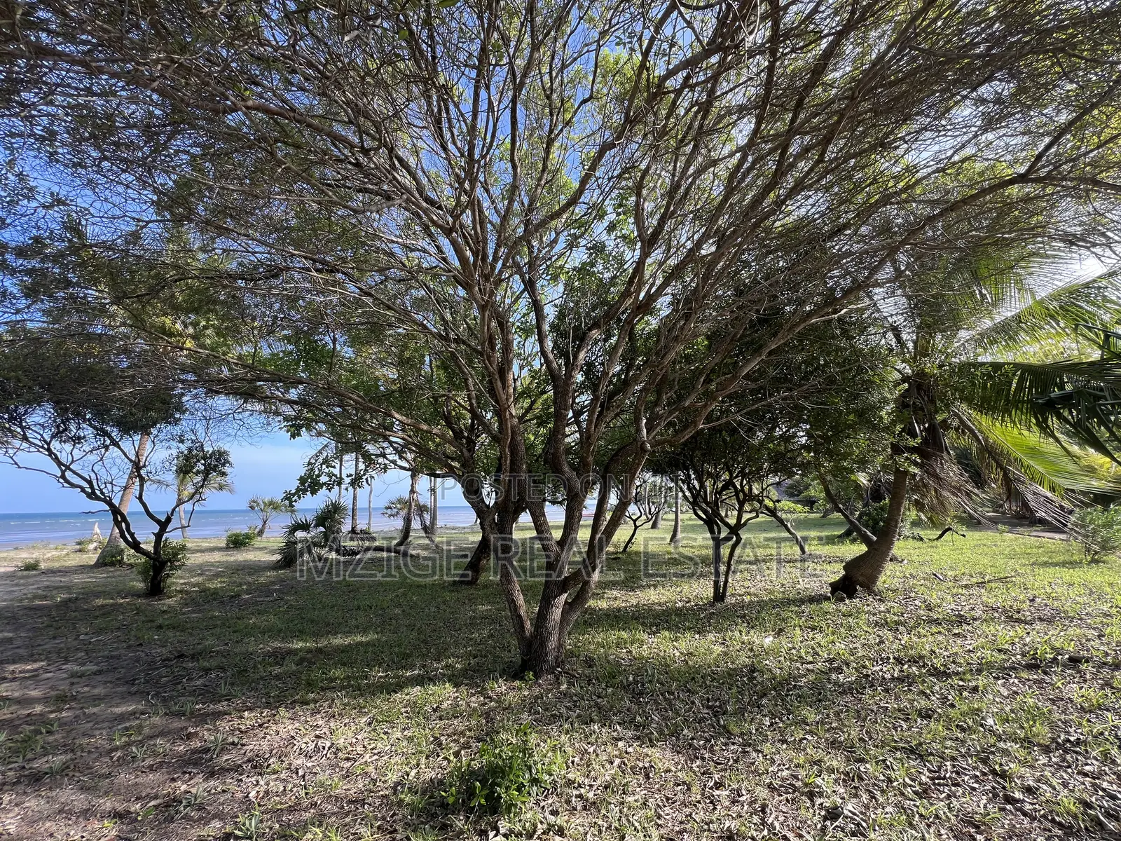 12 Acres Beachfront Lodge for Sale at Mkwaja-Pangani, Tanga
