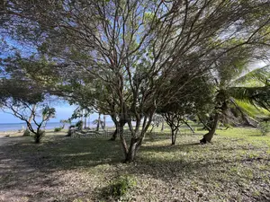 12 Acres Beachfront Lodge for Sale at Mkwaja-Pangani, Tanga