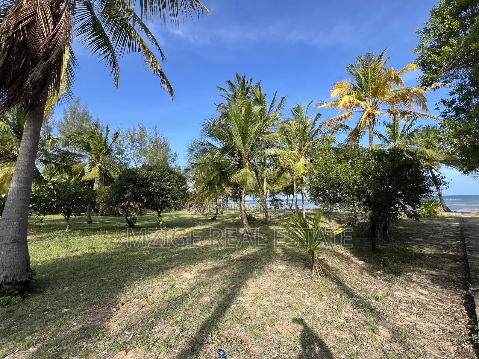 12 Acres Beachfront Lodge for Sale at Mkwaja-Pangani, Tanga
