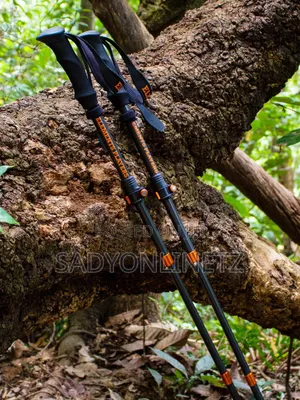 Trekking Poles