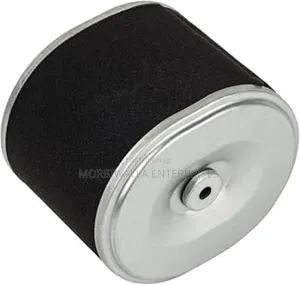 Air Cleaner 186f