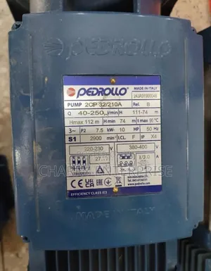 Original From Italy Pedrollo Surface Waterpump Powerful 10hp 7.5kw