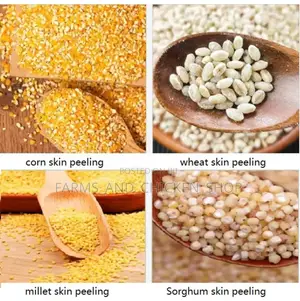 Maize Grinding and Peeling Machine