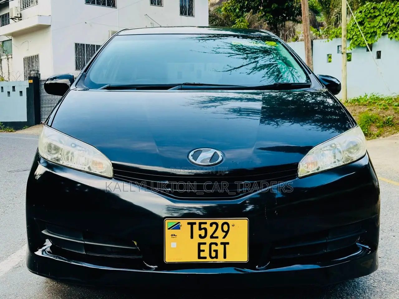 Toyota Wish 2010 Black
