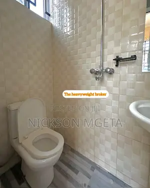 2bdrm Apartment in Dalali Nick Mwanza, Nyakato for rent
