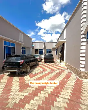 2bdrm Apartment in Dalali Nick Mwanza, Nyakato for rent