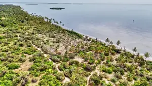 14 Acres White Sand Beach Plot for Sale at Mwalongo, Tanga