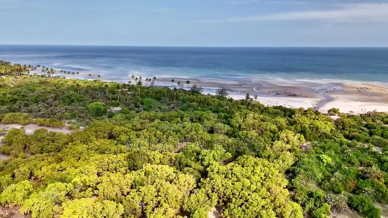 14 Acres White Sand Beach Plot for Sale at Mwalongo, Tanga