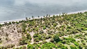 14 Acres White Sand Beach Plot for Sale at Mwalongo, Tanga