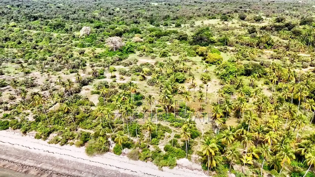 14 Acres White Sand Beach Plot for Sale at Mwalongo, Tanga