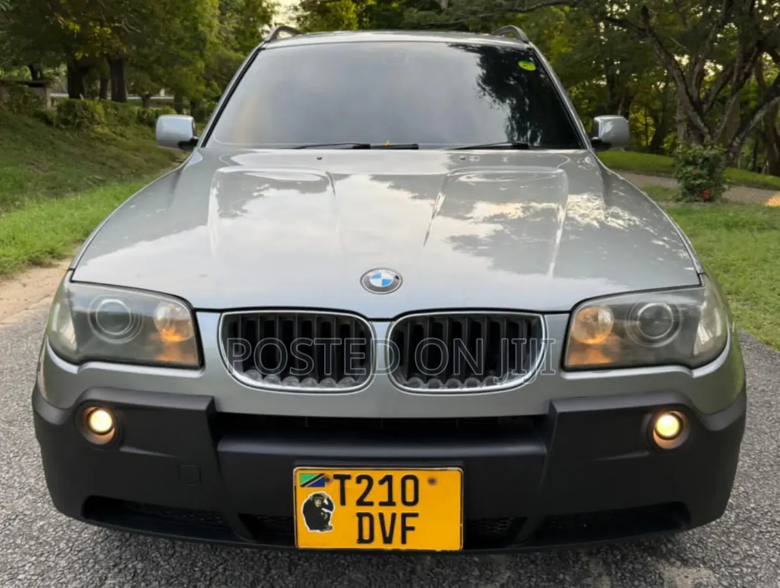 BMW X3 2007 Gray