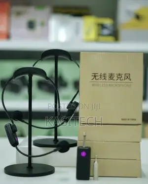 Double Wireless Microphone