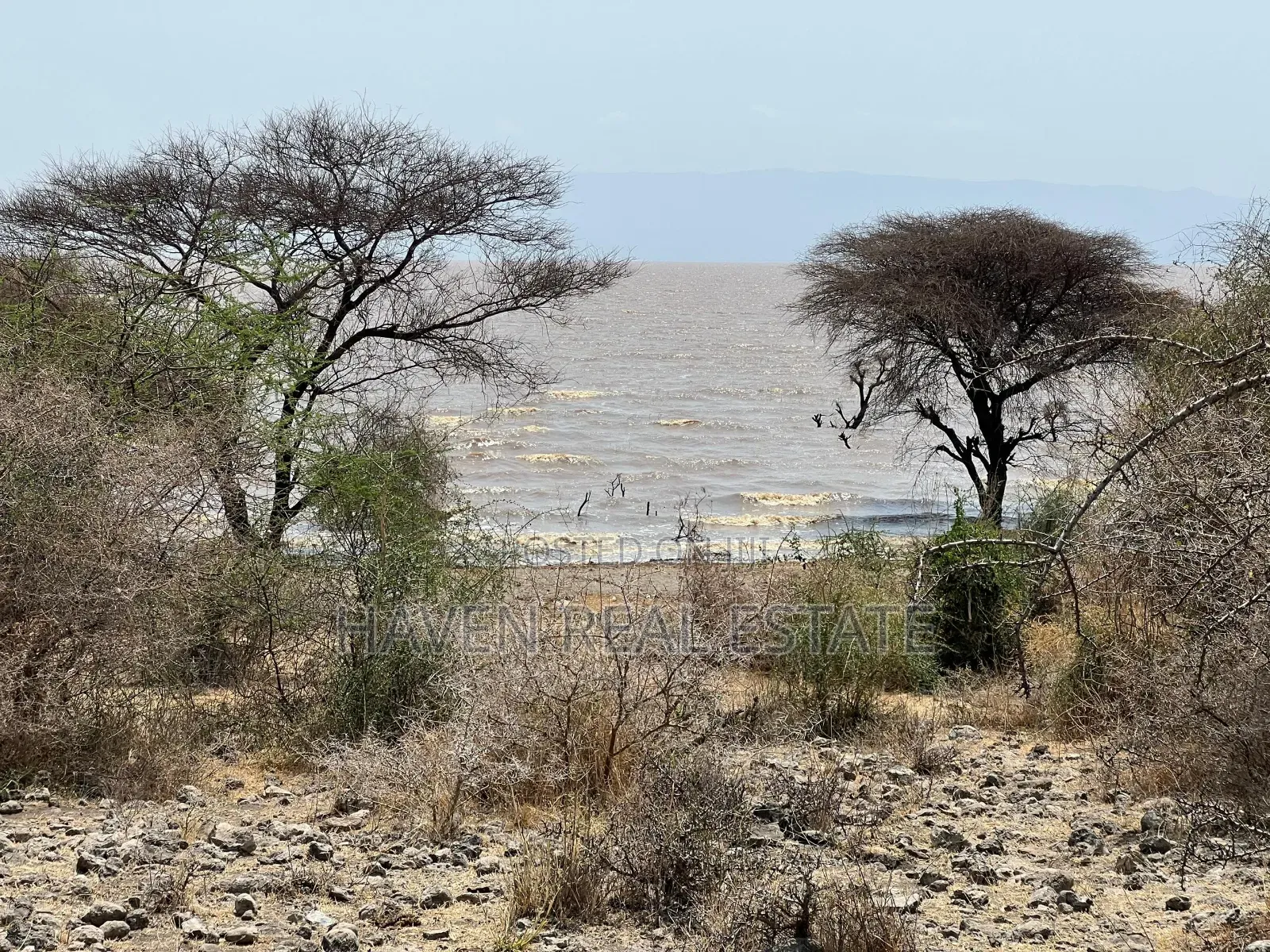 Eneo La Ekari 20 Linalogusa Ziwa Manyara Linauzwa Mto Wa Mbu