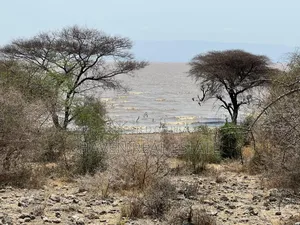 Eneo La Ekari 20 Linalogusa Ziwa Manyara Linauzwa Mto Wa Mbu