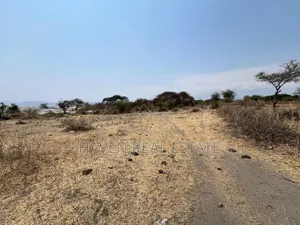 Eneo La Ekari 20 Linalogusa Ziwa Manyara Linauzwa Mto Wa Mbu