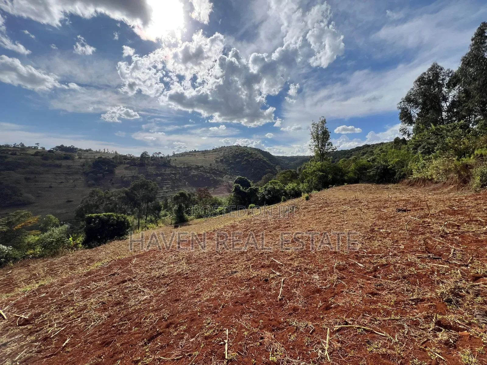 Ekari 7 Za Msitu Halisi (Ngorongoro Fireline) Zinauzwa Marera, Karatu